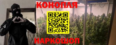 a pvp Будённовск