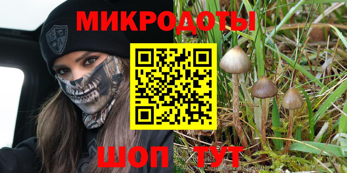 Медногорск  Галлюциногенные грибы Magic Shrooms  Галлюциногенные грибы ЛСД  Вход с VPN 